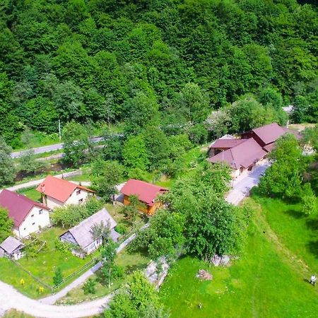 Pensiunea Lupul Dacic Costeşti Εξωτερικό φωτογραφία