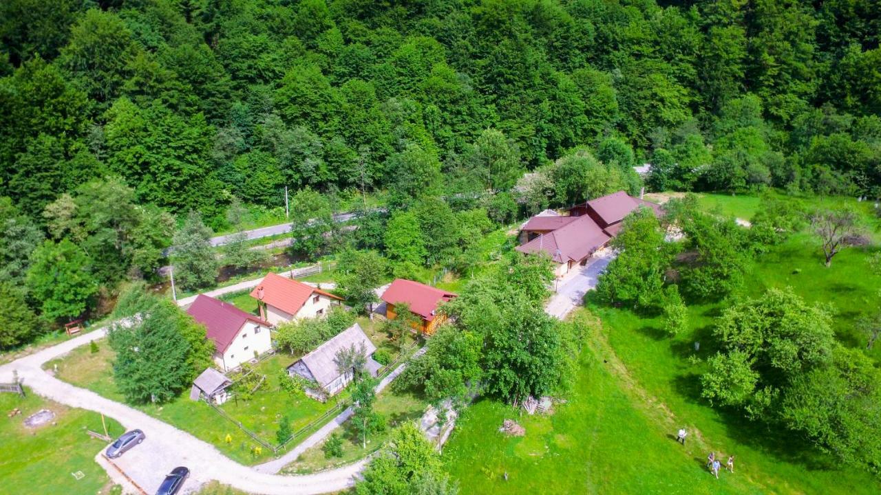 Pensiunea Lupul Dacic Costeşti Εξωτερικό φωτογραφία
