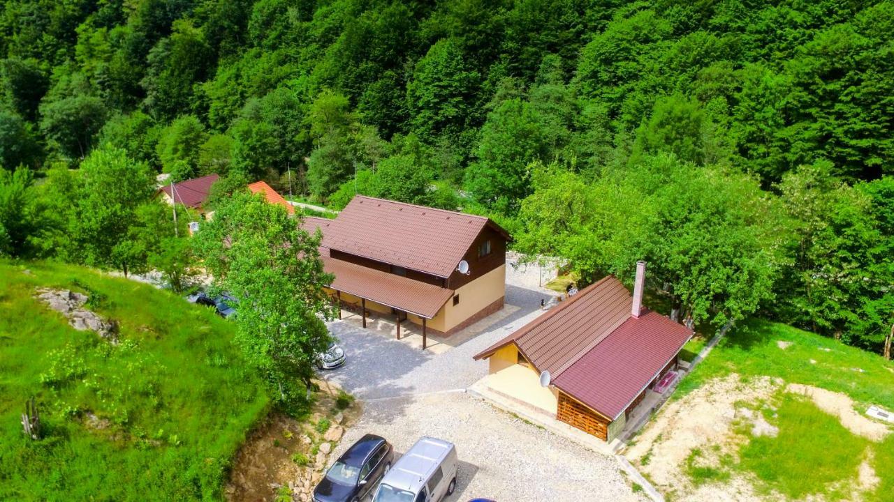 Pensiunea Lupul Dacic Costeşti Εξωτερικό φωτογραφία