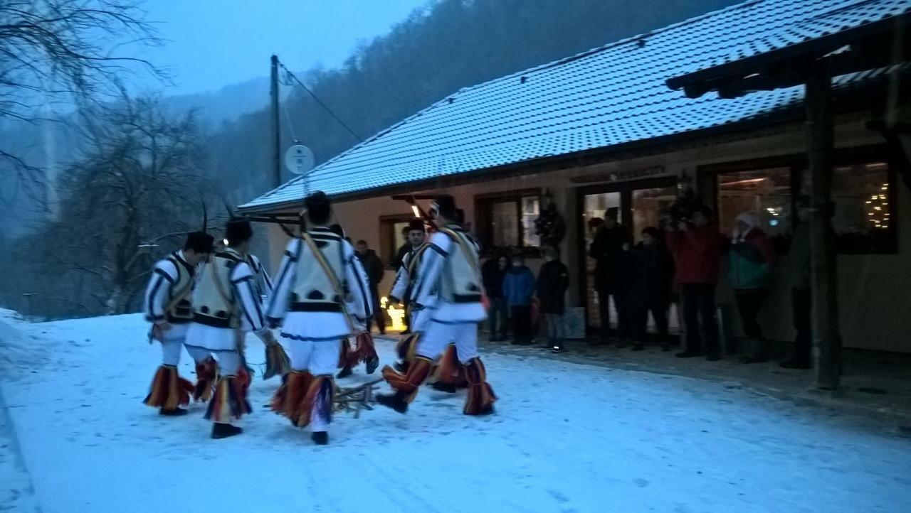 Pensiunea Lupul Dacic Costeşti Εξωτερικό φωτογραφία